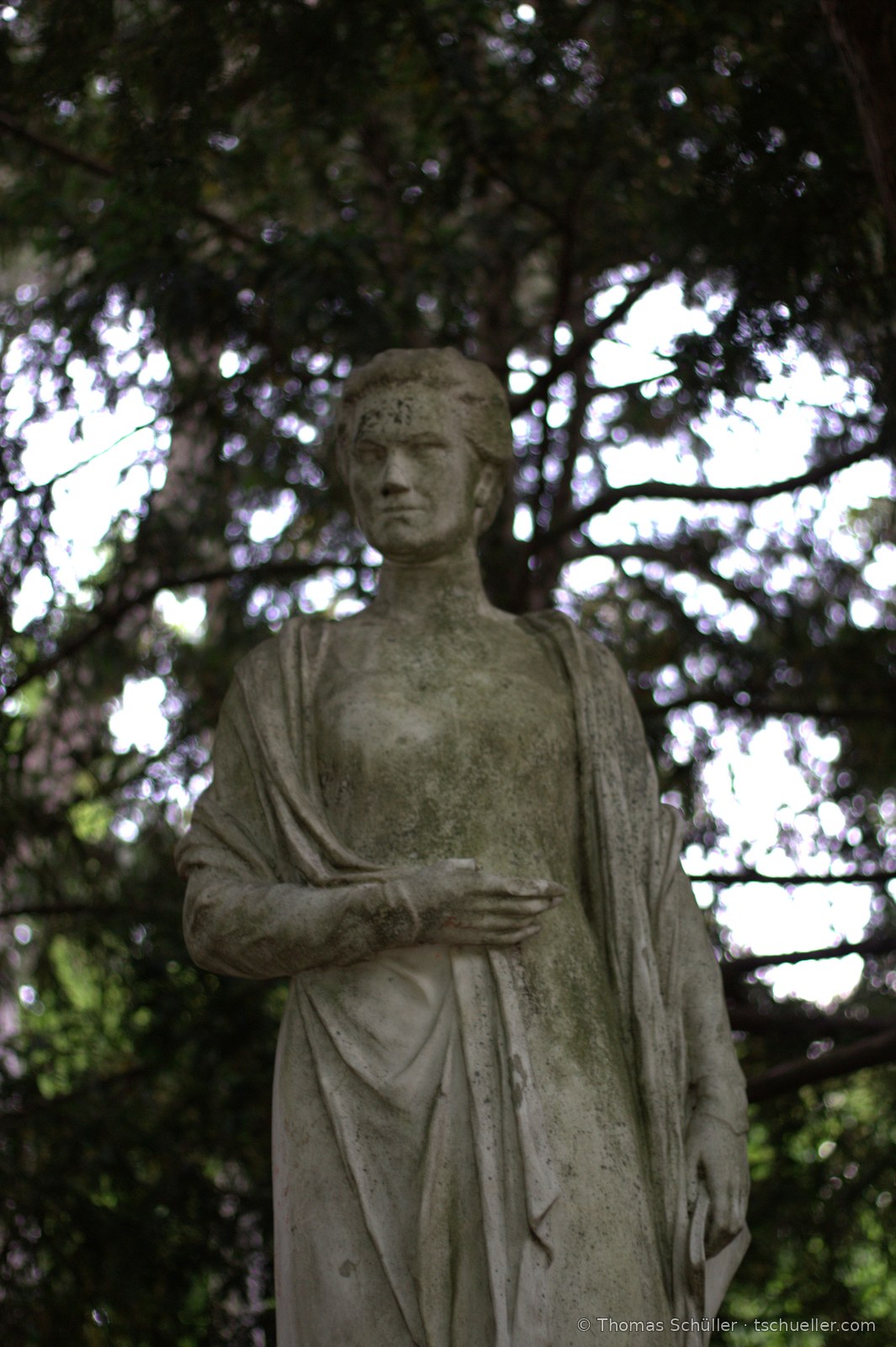 Steinerne Frauenfigur mit Umhang unter dunklen Nadelbäumen