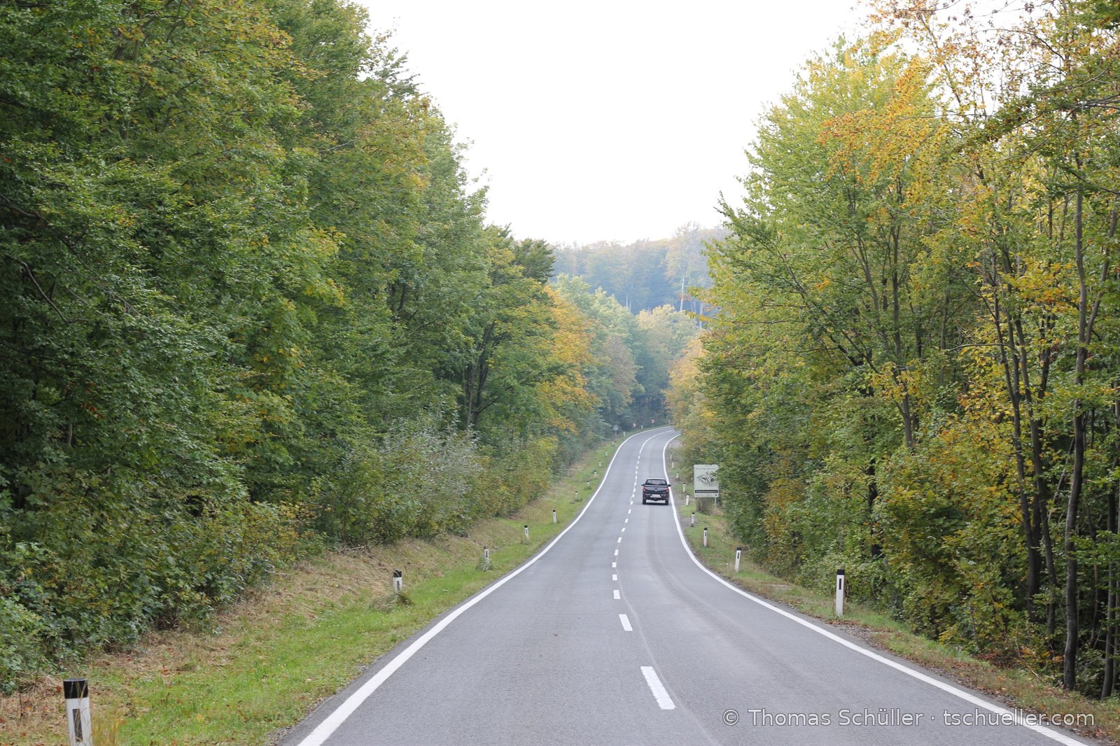 Landstraße durch herbstlichen Laubwald
